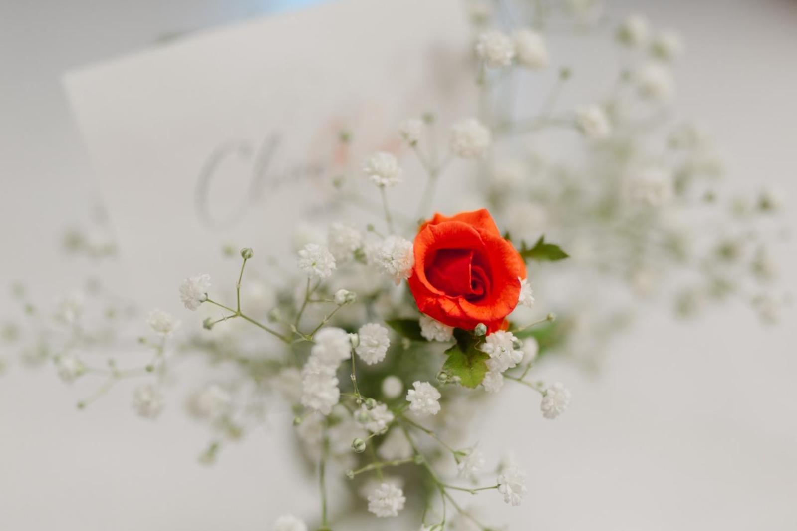 Claire Rose B&B Ματέρα Εξωτερικό φωτογραφία