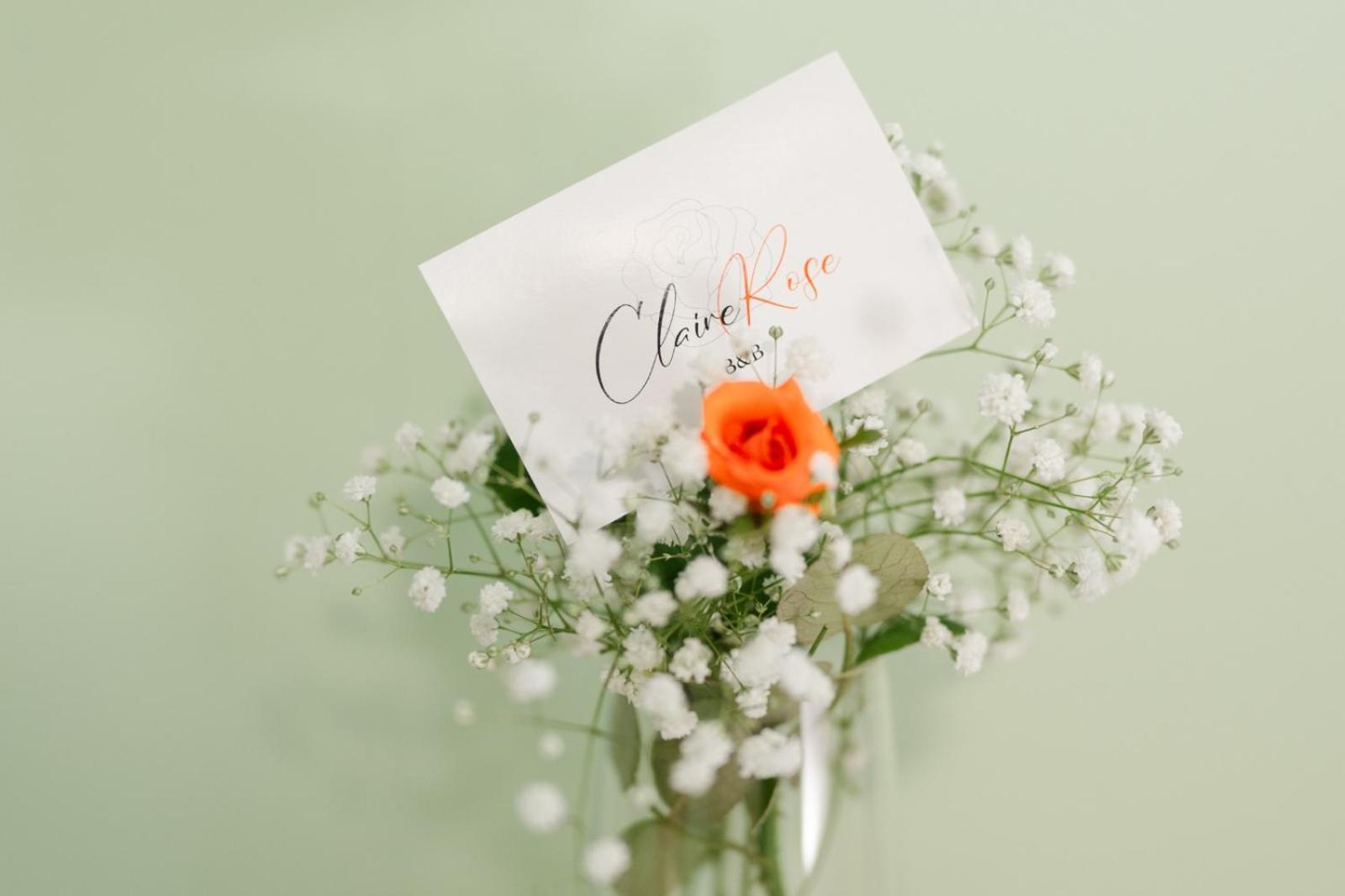 Claire Rose B&B Ματέρα Εξωτερικό φωτογραφία